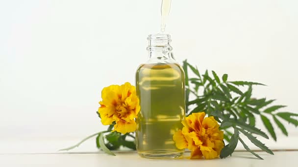 marigold essential oil in  beautiful bottle on White background