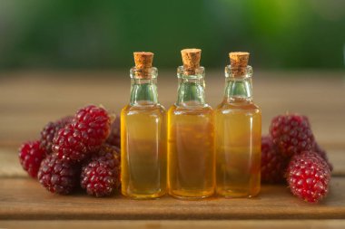 Güzel cam şişe tablo yabani ahududu özü