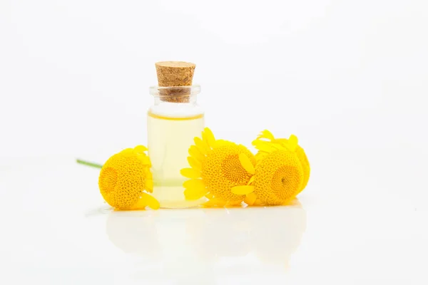 Esencia de flores de Camomille amarillas en la mesa en hermoso vidrio — Foto de Stock
