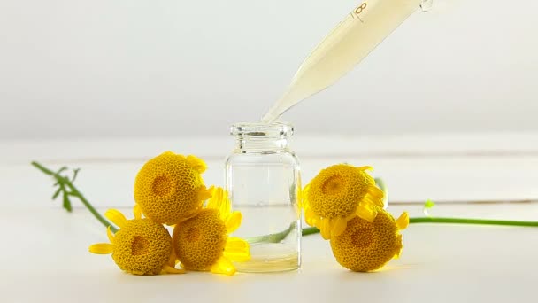 Esencia Flores Amarillas Camomille Sobre Fondo Blanco Hermosa Botella Vidrio — Vídeos de Stock