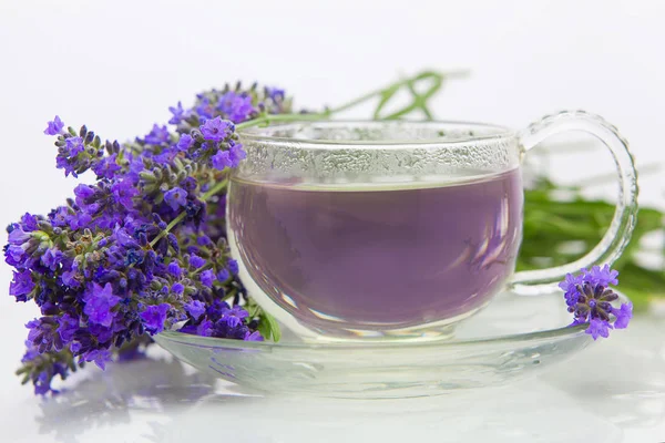 Zöld Lavende tea gyönyörű csészében — Stock Fotó