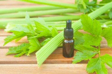 celery essential oil in a beautiful bottle on the table clipart
