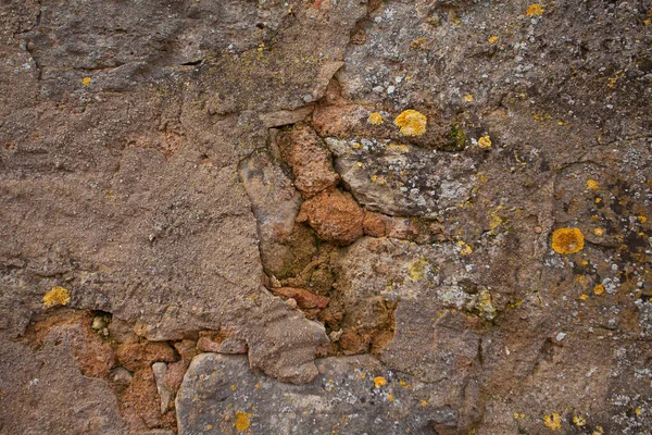 Mooie Achtergrondafbeelding Met Een Bakstenen Muur Moss — Stockfoto