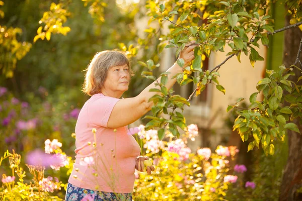 Vrouw Het Graven Van Bedden Cottage Planten — Stockfoto