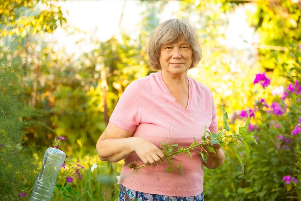 Vrouw Het Graven Van Bedden Cottage Planten — Stockfoto