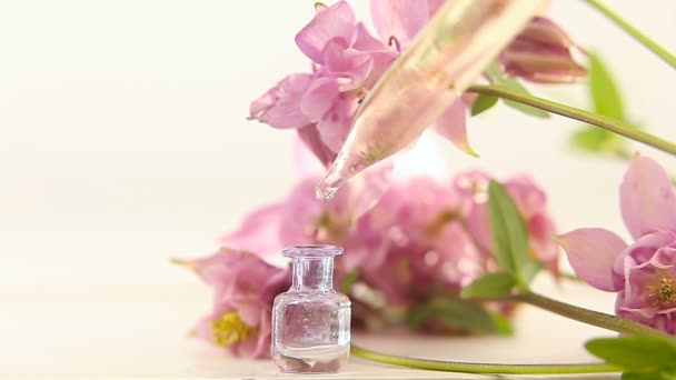 Essence Flowers Table Beautiful Glass Jar — Stock Video