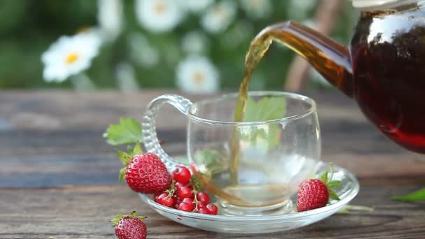 Wild Strawberry Tea Beautiful Cup — Stock Video