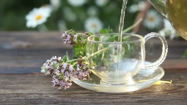 Thé Vert Dans Une Belle Tasse — Video