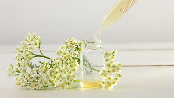 Essentie Van Bloemen Tafel Mooie Glazen Pot — Stockvideo