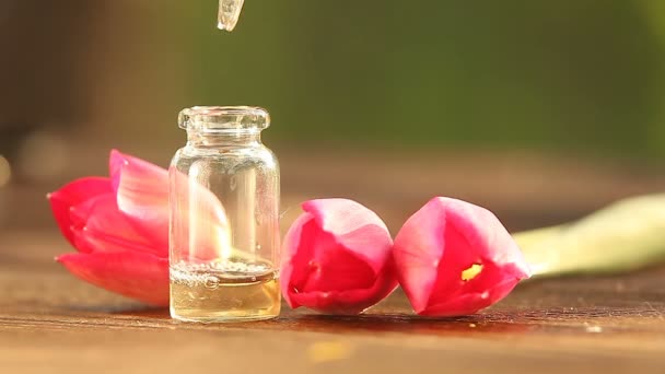 Essenz Der Blumen Auf Dem Tisch Schönen Glas — Stockvideo