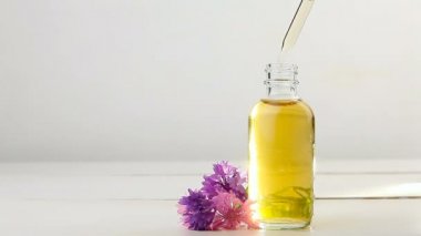 Knapweed çiçeklerinin esansı beyaz arka plan güzel cam şişe