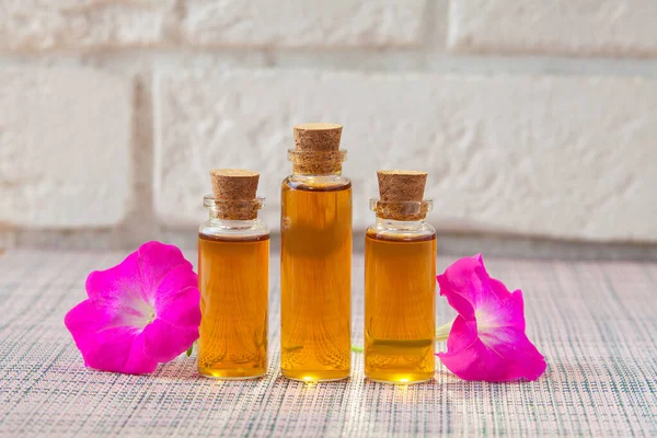 Aceite Esencial Petunia Una Hermosa Botella Sobre Fondo Blanco — Foto de Stock