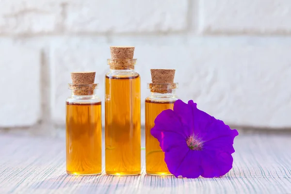 Aceite Esencial Petunia Una Hermosa Botella Sobre Fondo Blanco — Foto de Stock