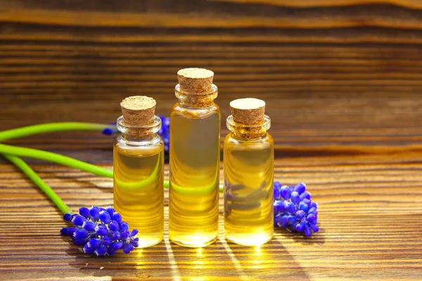 Aceite Etérico Flor Muscari Sobre Mesa Botella Hermosa — Foto de Stock