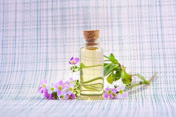 Aceite Esencial Una Flor Árabe Sobre Fondo Blanco Una Hermosa — Foto de Stock