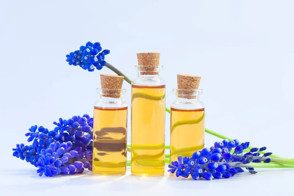 Aceite Etérico Flor Muscari Sobre Mesa Botella Hermosa — Foto de Stock