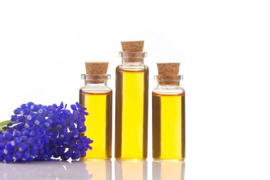 Masanın üzerinde güzel bir şişede duran muscari çiçeğinin temel yağı.