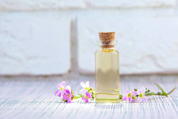 Essential Oil Arabis Flower White Background Beautiful Bottle — Stock Photo, Image