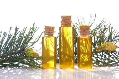 Cam bir kavanozun içindeki bir masada çam esansı.