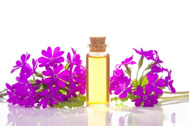 Çuha çiçeği yağı masanın üstünde güzel bir şişede.