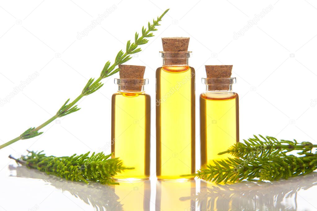 horsetai essential oil in a beautiful bottle on the White background