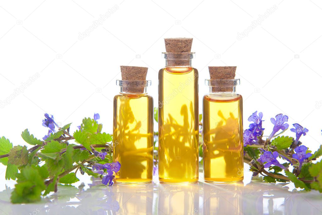 bugleherb essential oil in a beautiful bottle on the White background