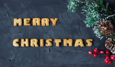mutlu Noeller Noel arka plan fırında zencefilli kurabiye ile Noel ağacı dalı ile kelime. yaratıcı fikir