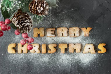 Noel arka plan ile Noel ağacının dalını ve fırında zencefilli kelime pudra şekeri ile mutlu Noeller. yaratıcı fikir