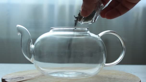 Video of Process of brewing green Chinese tea in a glass teapot — Stock Video