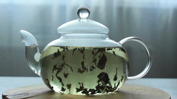 Video of Process of brewing green Chinese tea in a glass teapot — Stock Video