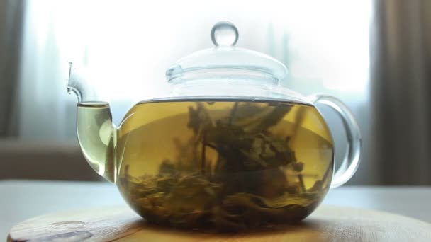 Видео процесса пивоварения зеленый китайский чай в стеклянный чайник — стоковое видео