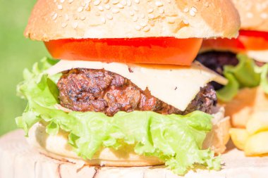 Sığır eti burger peynir ve sebze çimenlerin üzerinde