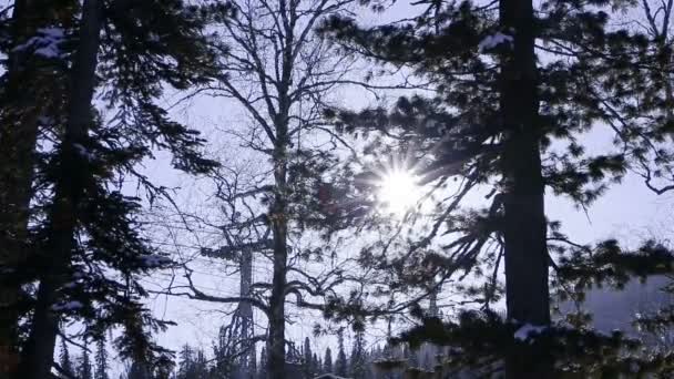 Luz do sol contra um teleférico nas montanhas — Vídeo de Stock