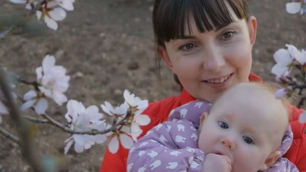 Mamma med bebis sniffa bloom — Stockvideo