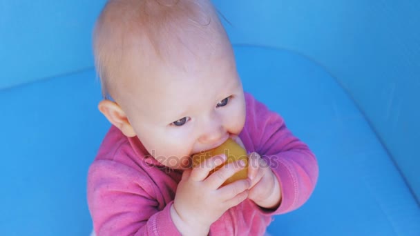 Baby eats peeled plum holding it in both hands — Stock Video