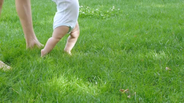 Father helps baby learning to walk — Stock Video