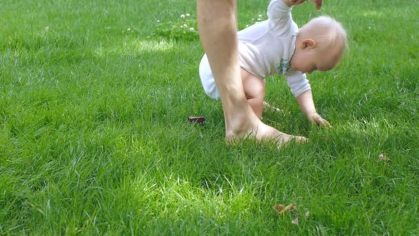 Padre ayuda al bebé a aprender a caminar — Vídeo de stock