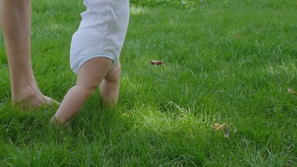 Father helps baby learning to walk — Stock Video