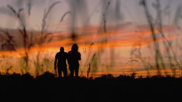 Silhouette de couple marchant — Video