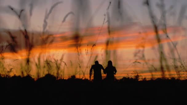 Silhouette of running couple — Stock Video