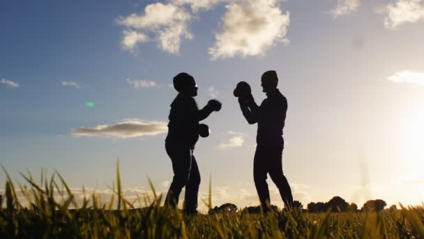 Boxing workout with trainer outdoors. Low angle shot of opponents silhouettes in boxing gloves sparring in a field at sunset. Fighter with glasses learning to kick alternately with both hands. — Stock Video