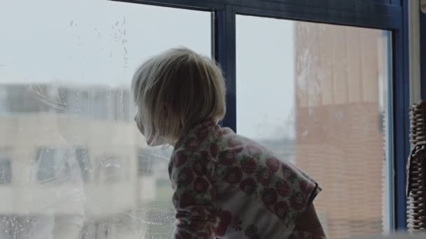 Enfant joue nettoyage fenêtre . — Video