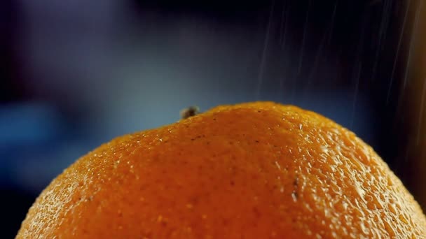 Mandarijn in de regen, macro schot — Stockvideo