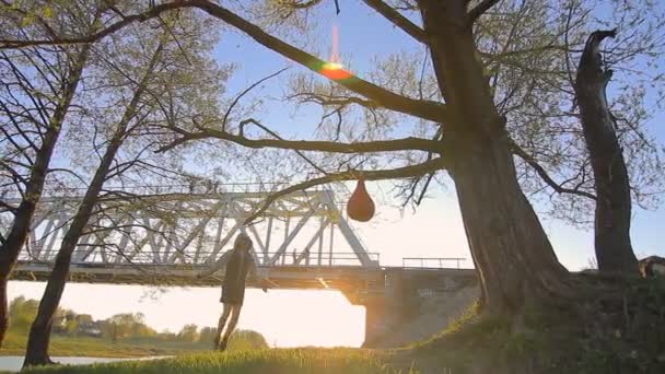 Боксер з пропускаючою мотузкою на відкритому повітрі, парк, захід сонця — стокове відео