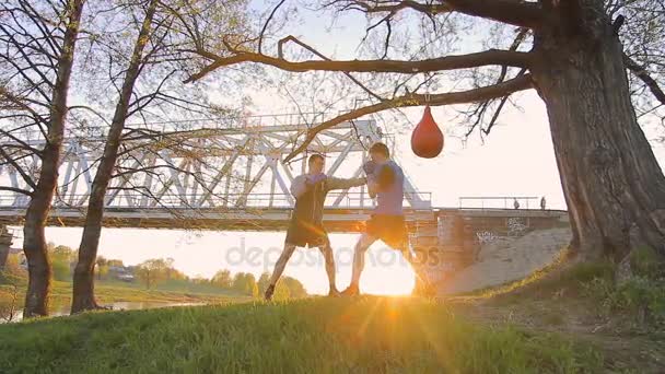 Hombre joven entrenando con un entrenador, almohadilla de boxeo, puesta de sol — Vídeo de stock