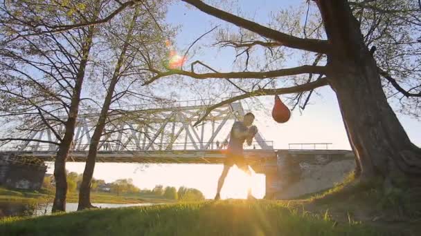 Treinamento de boxe no parque, ao ar livre, saco de perfuração — Vídeo de Stock