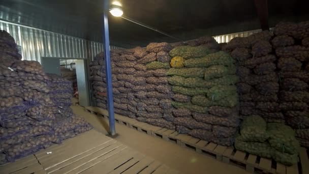 Panorama des sacs avec pommes de terre dans l'entrepôt — Video