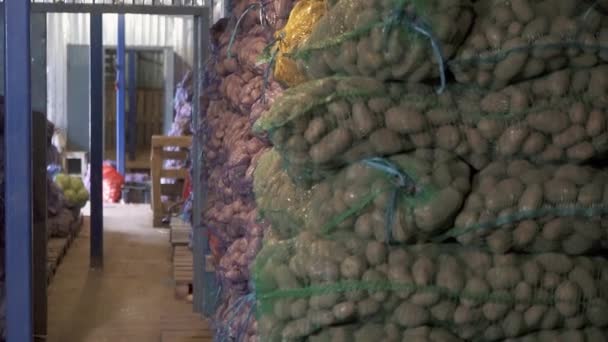 Куча мешков картофеля на складе — стоковое видео