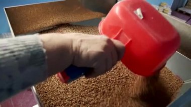 içinde belgili tanımlık tank doldurma buğday