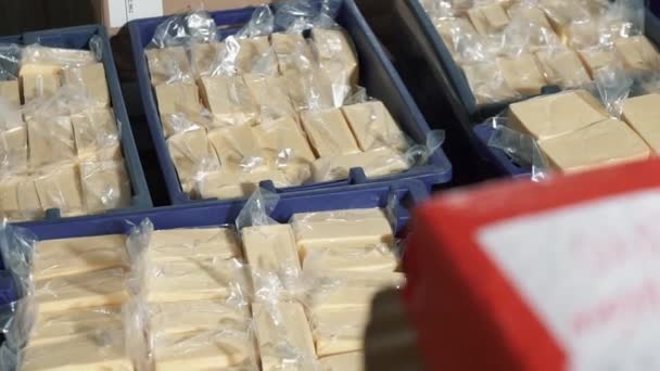 Emballage avec fromage dans des boîtes dans l'entrepôt — Video